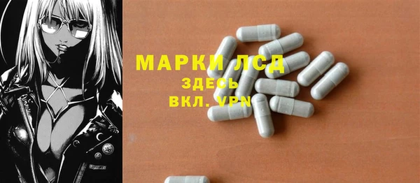 шишки Кодинск