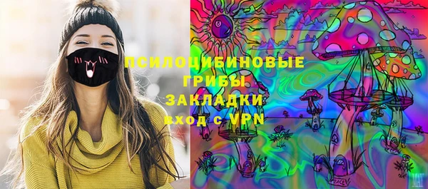 шишки Кодинск