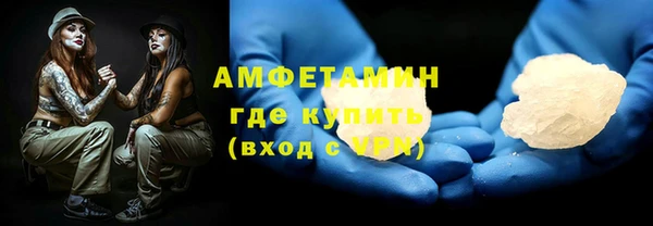 шишки Кодинск