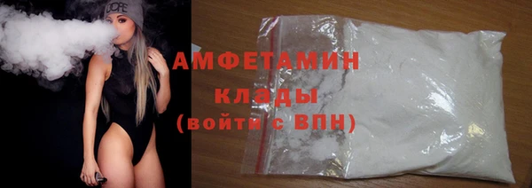 шишки Кодинск