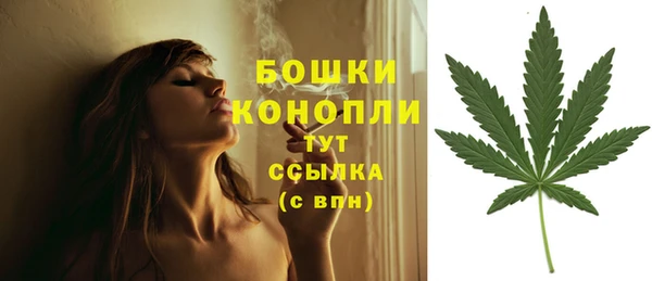 шишки Кодинск