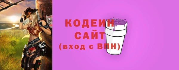 шишки Кодинск
