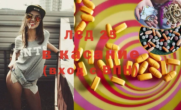 винт Гатчина
