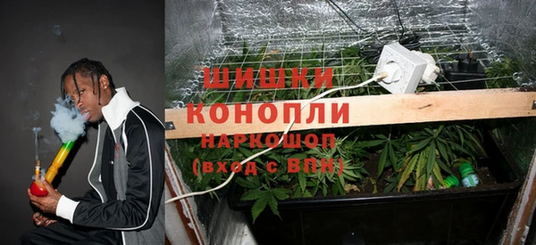 шишки Кодинск