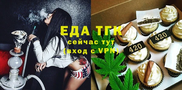 шишки Кодинск