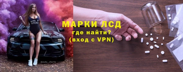 шишки Кодинск